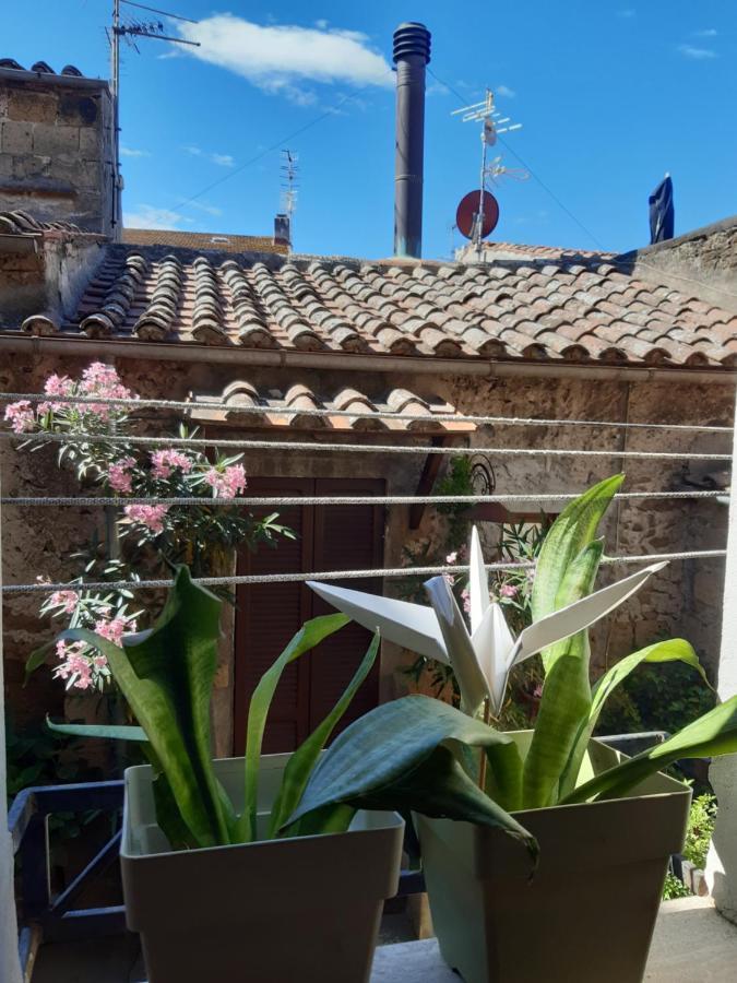 Casa Il Girasole Pitigliano Apartment Exterior photo