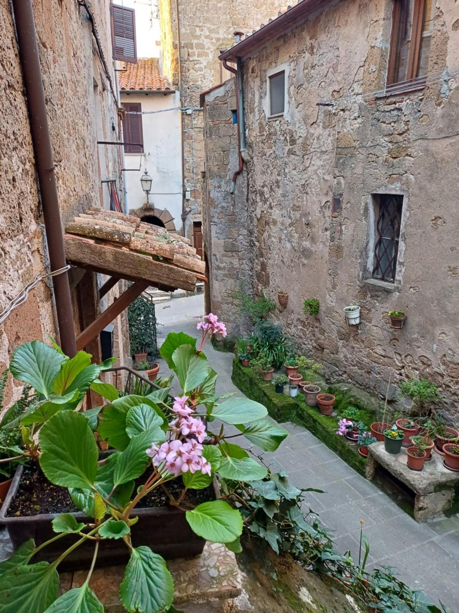 Casa Il Girasole Pitigliano Apartment Exterior photo
